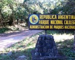 Fuerzas de seguridad de la provincia de Jujuy informaron que rescatistas encontraron en el Parque Nacional Calilegua a Lía Costantino, la mujer que había desaparecido hace una semana con su pareja.